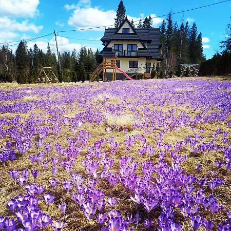 Bed & Breakfast Za Gorami Za Lasami