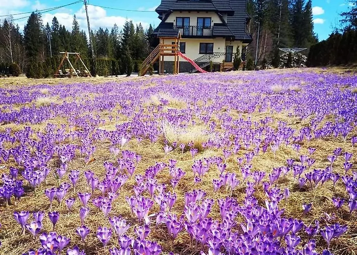 Bed & Breakfast Za Gorami Za Lasami